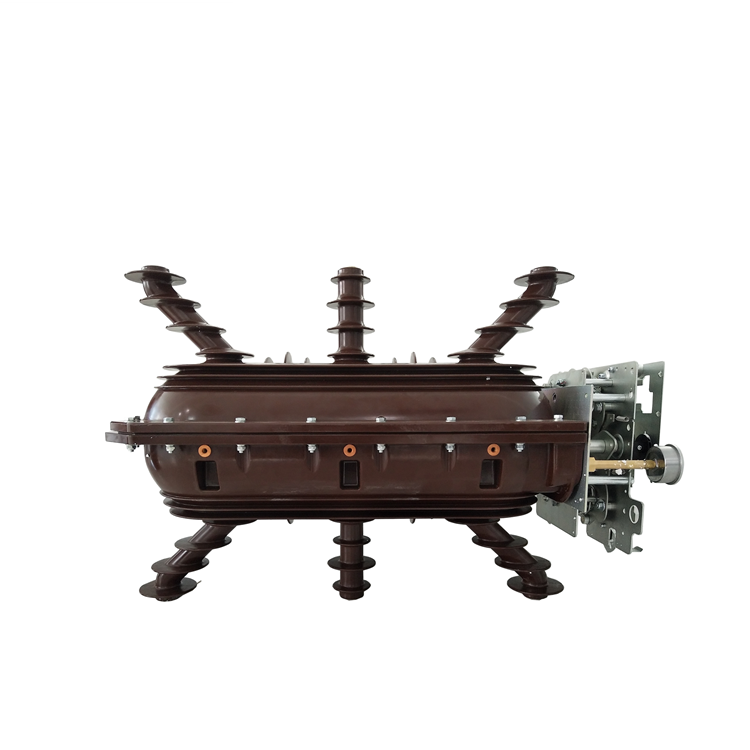 40.5KV 2,5KV 230MM ໃນລົ່ມໃນລົ່ມ Swbs Switch SF6 LOWN SWITCH